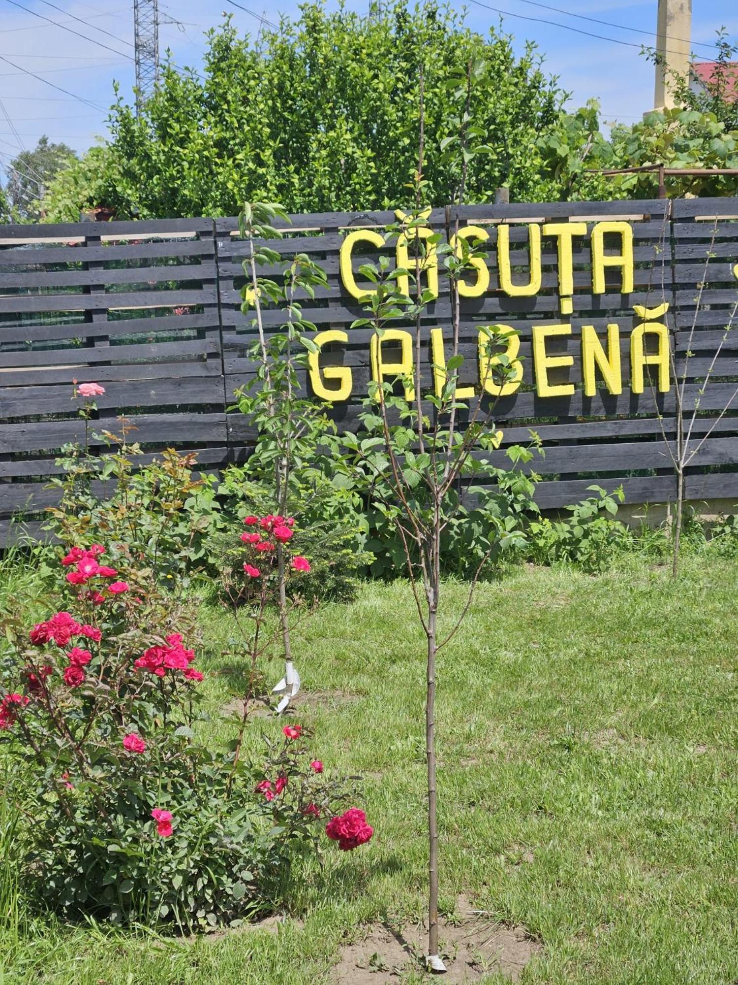 Вилла Casuta Galbena Эфорие Норд Экстерьер фото